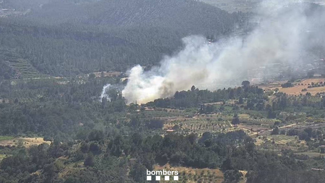 Un incendi a Marçà obliga a tallar la carretera (Bombers de la Generalitat )