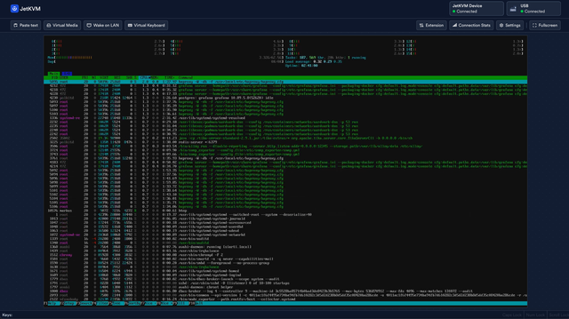 screenshot of jetkvm UI running in a browser, showing htop