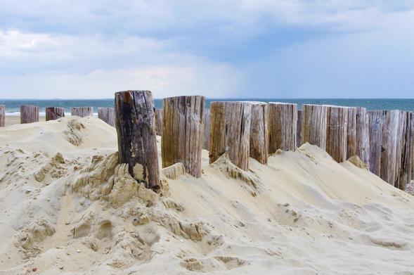 Eine Reihe von verwitterten Holzbuhnen, die teilweise im Sand eines Strandes versunken sind. Der Sand ist hell und weist wellenförmige Strukturen auf. Im Hintergrund ist eine weitere Reihe Buhnen und das Meer zu sehen. Der Himmel ist weitreichend bedeckt.