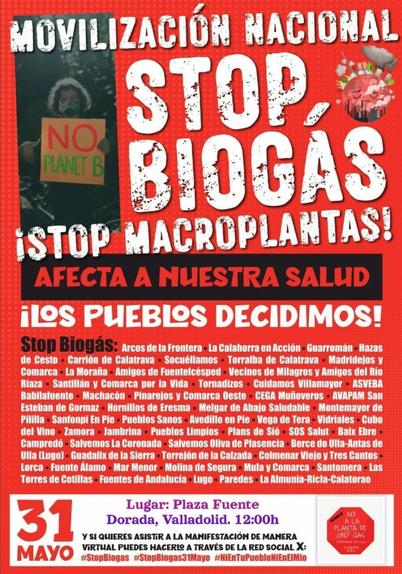 MOVILIZACION NACIONAL
STOP, BIOGAS
iSTOP MACROPLANTAS!
AFECTAA NUESTRA SALUD
iLOS PUEBIOS DECIDIMOS!

Stop Biogás: Arcos de la Frontera La Calahorra en Acción - Guarromán Hazas de Cesto Carrión de Calatrava Socuéllamos Torralba de Calatrava Madridejos y Comarca La Morañīa Amigos de Fuentelcésped Vecinos de Milagros y Amigos del Rio Riaza Santillán y Comarca por la Vida - Tornadizos Cuidamos Villamayor ASVEBA Babilafuente Machacón - Pinarejos y Comarca Oeste- CEGA Muñoveros AVAPAM San Esteban de Gormaz Hornillos de Eresma Melgar de Abajo Saludable Montemayor de Pililla - Santonpi En Pile Pueblos Sanos Avedillo en Pie- Vega de Tera- Vidriales Cubo del Vino Zamora Iambrina - Pueblos Limpios Plans de Sió SOS Salut Baix Ebre Campredó - Salvemos la Coronada - Salvemos Oliva de Plasencia Berce do UIla-Antas de Ulla (Lugol- Guadalix de la Sierra Torrejón de la Calzada- Colmenar Viejo y Tres Cantos Lorca Fuente Alamo Mar Menor Molina de Segura - Mula y Comarca- Santomera Las Torres de Cotillas Fuentes de Andalucía Lugo Paredes La Almunia-Ricla-Calatorao

12h Valldolid, Pza. Fuente Dorada

SI QUIERES ASISTiR A LA MANIFESTACIÓN DE MANERA ViRTUAL PUEDES HACERIO A TRAVÉS DE LA RED SOCIAL X

#StopBiogas #StopBiogas31Mayo #NiEnTuPuebloNiEnEIMio