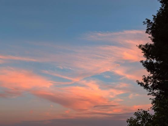 Ciel très bleu avec des nuages rouges/oranges.
Un arbre sur la droite.