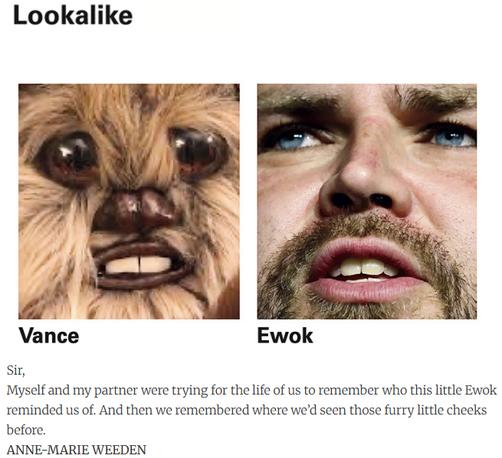 Sir,
Myself and my partner were trying for the life of us to remember who this little Ewok reminded us of. And then we remembered where we’d seen those furry little cheeks before.
ANNE-MARIE WEEDEN