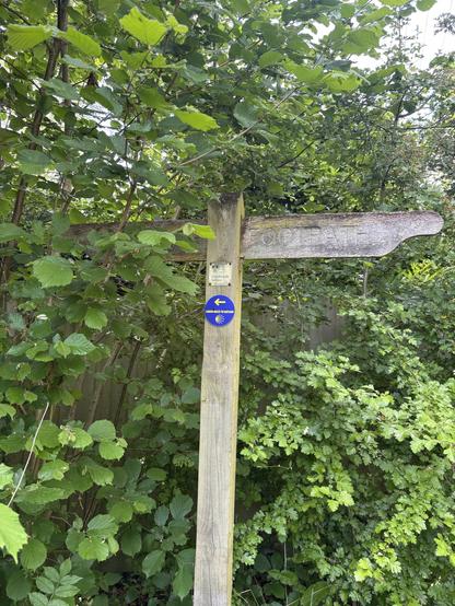 A wooden fingerpost with two signs saying "footpath" and a blue round plaque with yellow lettering on the post showing the way of the Camino Inglés to Santiago