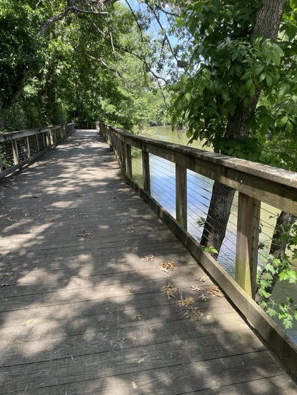 Pic overlooking bicycle handlebars on boardwalk next to small river, on a sunny day with tree shadows on boardwalk