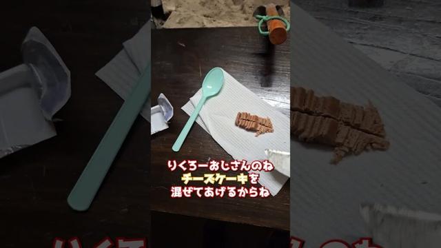 母ちゃん念願の「ぷるぷるチーズケーキ」を購入❗ #グレートピレニーズ #超大型犬 #レン #レンと遊ぼう #Shorts