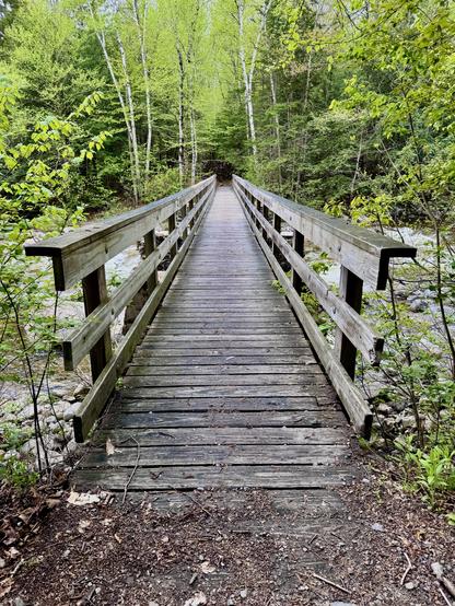 Photo of wooden footbridge as viewed from one end and looking along its length.  A dense green forest is seen on the far side.  The water from the brook that the bridge spans can be seen on each side of the bridge through green foliage.

This is the footbridge that spans Franconia Brook and connects Lincoln Woods Trail to Franconia Brook Trail.