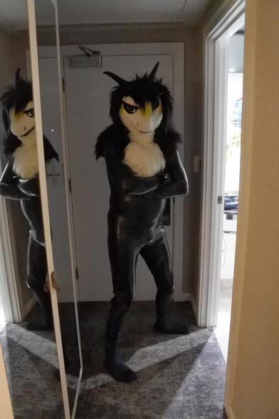 Fursuit photo - impromptu shot of a fluffy dragon wearing a polished black latex catsuit. He is standing in the hotel room hallway and is partly lit by the bathroom lights.