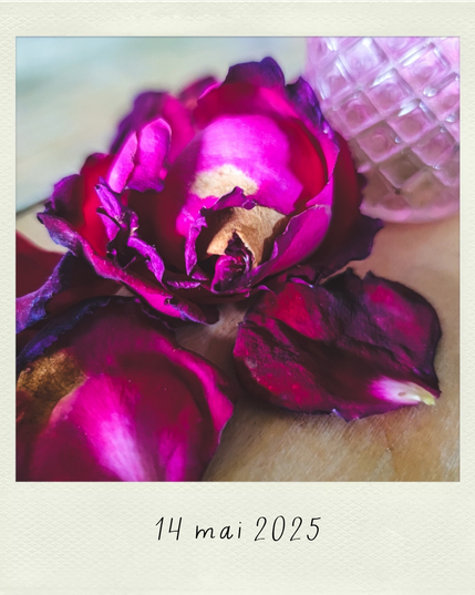 Pétales de rose sur la table