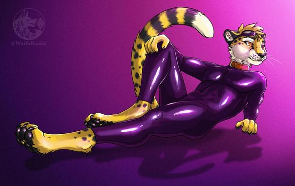 Art of Obscura lounging on the floor with one handpaw on a knee. They are wearing a shiny purple latex catsuit and orange collar