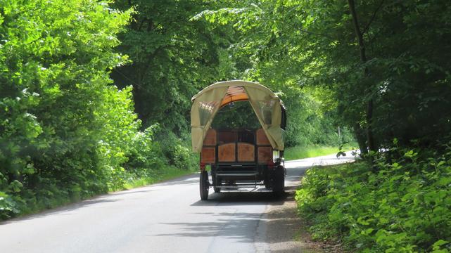 Pferdekutsche von hinten, die auf einer Straße durch einen Wald fährt.