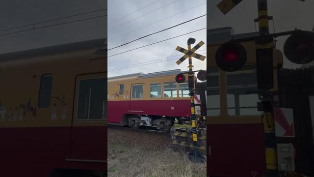 439なんの電車がくるのかな？#上市町 #撮り鉄  #富山地方鉄道 #電車 #てっちゃん