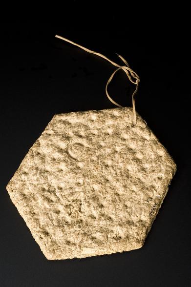 This is a photo of a machine-manufactured hardtack biscuit issued by the British Royal Navy during the reign of Queen Victoria.

It was used specifically for the British Arctic Exploration of 1875 and made in the then typical hexagonal shape.