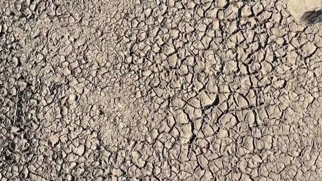 Imatge de la terra de cultiu seca (AFP-TV)