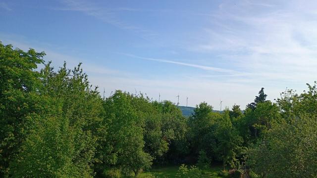 Bäume und blauer Himmel