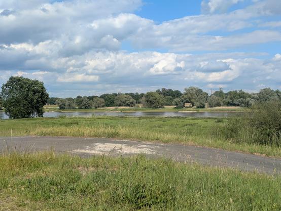 Blick auf die Elbe, davor ein Radweg und Wiese. Blauer Himmel mit weißen Wolken