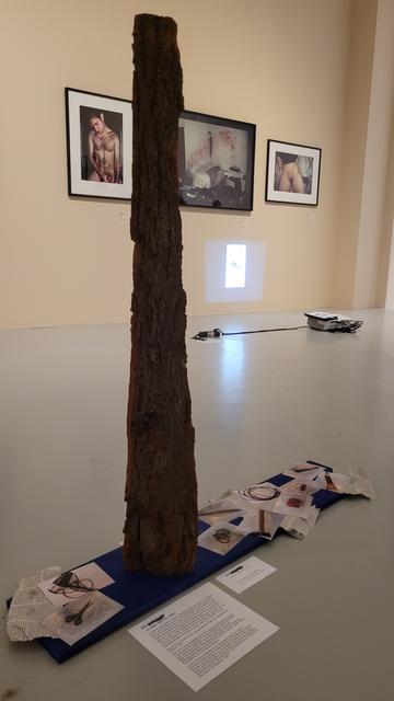 Hochkant in Farbe. Auf weißem Boden in einem hellen Galerieraum steht eine Installation aus einem Brett am Boden und einem ca 150 cm langen Holzstück mit Rinde, das hochkant auf dem Brett steht. Brett und Holz sind königsblau gestrichen. Auf dem Brett kleben Fotos. Die Fotos zeigen verschiedene, eingetütete (Tat)Gegenstände. Von links nach rechts: Schere, Fön, Schnur, Beitel, Hammer, Kabel, Tasse, Feuerzeug, Teppichmesser, Säge.
Vor der Installation liegt eine Erläuterung zu Femiziden und (sexualisierter) Gewalt an Frauen und Mädchen.
Im Hintergrund an der Wand sind drei Fotos von Nan Goldin zu sehen. Links ein masturbierender Mann, mittig ist nicht zu erkennen, rechts eine behaarte Vulva mit Kaiserschnittnarbe darüber.