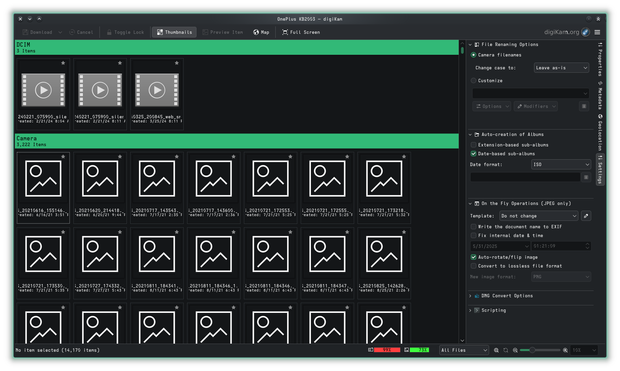 Digikam file import window. It's got loads of settings.