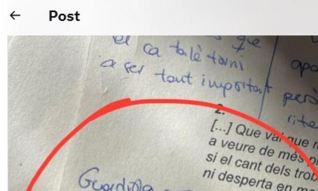 El tuit publicado por @lil_nuggeeet (X)