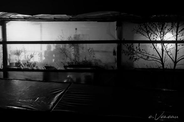 At night, an illuminated greenhouse showing 2 human silhouettes and shadows of plants and shrubs.