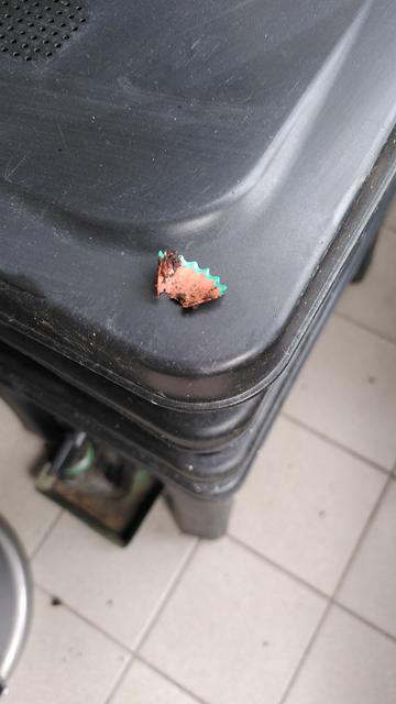 Posé sur le couvercle d'un lombric imposteur noir. Un copeau de crayon à papier en bois sale mais intact.