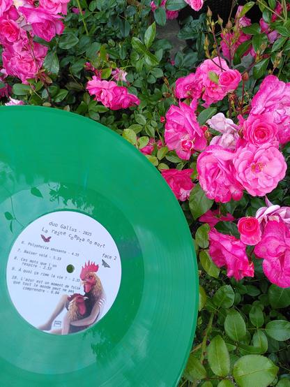 Notre deuxième album au format vinyle est disponible chez cinq disquaires parisiens, dont voici la liste :

. Le rideau de fer 12, rue André del Sarte 18ème
. Balades sonores 8, rue Pierre Ricard 18ème
. The Mixtape 32, rue des Trois Frères 18ème
. Soulableta 47, rue Marcadet 18ème

. Babaluma 72bis, rue Jean-Pierre Timbaud 11ème.

Si vous voulez nous soutenir, n'hésitez à les dévaliser ! 😃 💿 

#disque #vinyle #musique #disquaire #paris #paris18 #paris11 #chanson #blues #folk #photo #art