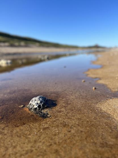 A shallow stream of water on a sandy beach with a focus on a mottled black and white rock. The background, featuring the beach and hill under a clear sky, is blurred. Small pebbles are scattered around the wet sand.