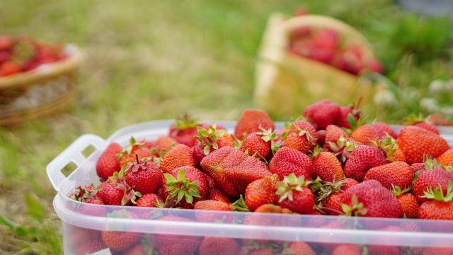 Erdbeeren in Körbchen