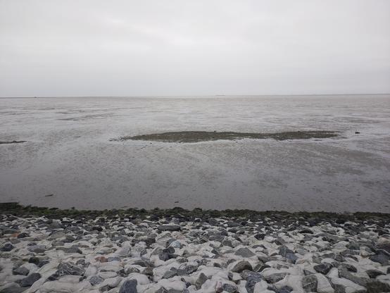 Blick vom Deich auf das dank der Ebbe begehbare Watt.