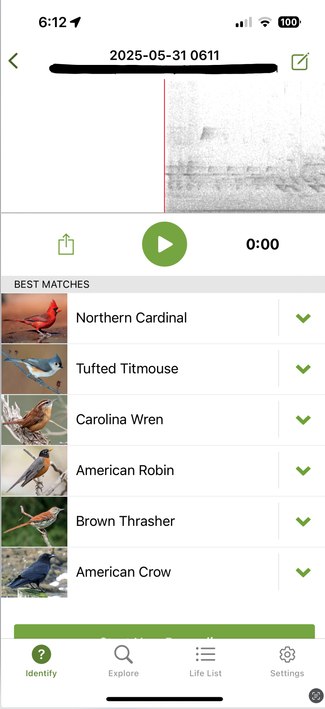 A typical set of songsters here in Asheville this morning.

Screencap from the Merlin let's-help-the-clueless-identify-all-the-birds-they're-hearing app, and I'm very grateful for it.

Northern Cardinal, Tufted Titmouse, Carolina Wren, American Robin, Brown Thrasher and American Crow.

Yes, the only one I identified on my own was the crow.