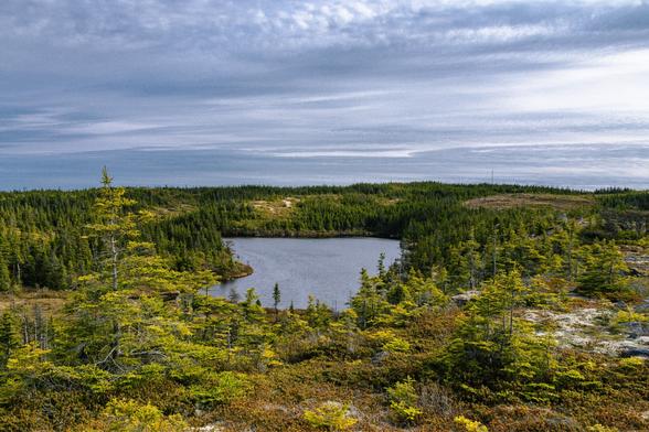 A lake surrounded by green trees under a dramatic blue and white sky. Photo taken from high above the lake.