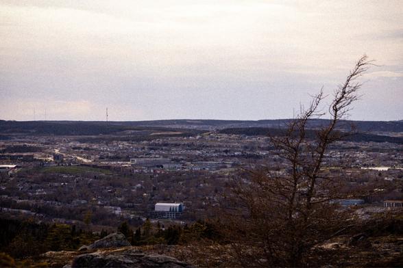 A lower saturated view of St. John’s from far away, with two stems of small barren trees in the foreground on the right. The image is slightly grainy.