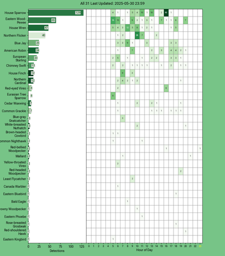 Chart generated by BirdNET-Pi with rows of all detected birds for Friday, May 30, 2025 in decending order.  The first large column displays a bar chart of relative frequency; the 24 reamaining columns create cells with the bird count for each hour of the day shaded by relative count.