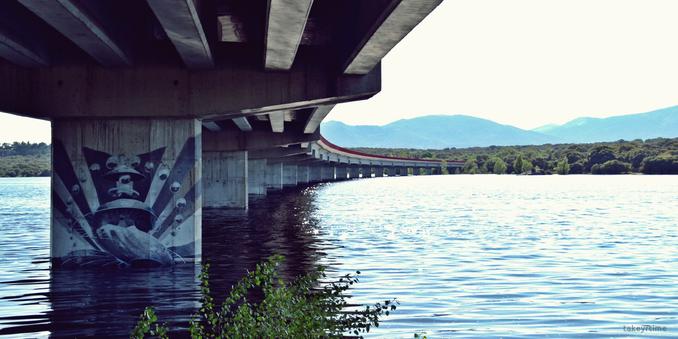 Fotografía tomada bajo el puente de la carretera que cruza el Embalse Valmayor y comunica Galapagar con El Escorial.
El puente hace una curva hacia la derecha, al fondo la carretera se esconde entre los árboles.

En una de las columnas del puente se ve un dibujo de un graffiti de color negro, blanco y varios grises (no se qué es exactamente).

En la parte inferior de la foto se ven las ramas y hojas de la parte superior de un arbusto.