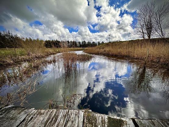 Wide-angle view of a tranquil pond with reflections of clouds and blue sky, flanked by dry reeds and bare trees. In the foreground, part of a weathered wooden dock extends into the water. The scene is set under a dramatic cloudy sky providing dynamic lighting and a sense of open space.