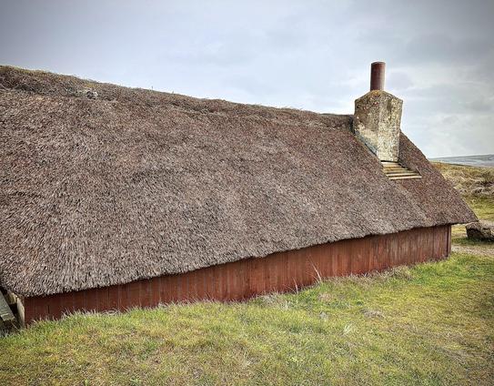 Rustic thatched cottage with a dark brown, thickly layered roof extending close to the ground. A brown wooden facade, one visible chimney stack protruding from the roof, and surrounded by a grassy landscape under a cloudy sky.
