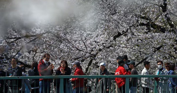 LDP group to seek end to tax exemption for foreign visitors