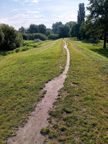 Fußpfad auf der Deichkrone, Gehölze, diffuses Gegenlicht am Morgen.