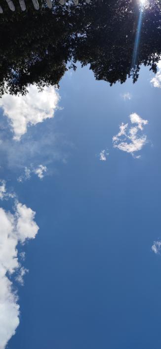 Image du ciel au zénith. Ciel désespérément bleu avec quelques cumulus.