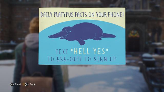 Screenshot from the game Life is Strange: Double Exposure. Flyer saying: Daily platypus facts on you phone! Text „HELL YES“ to 555-01PF to sign up