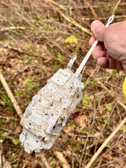 Vaisala radiosonde