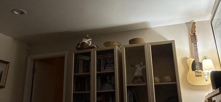 Tiny Sir, a long haired orange and white cat, looks down from his perch. He is curled up in a small wicker basket on top of a bookcase, which looks rather precarious. This is a wider view of the bookcases. There is a guitar hanging on the wall at the right hand side. Tiny Sir looks rather small and pale, he is at the top left, looking down.