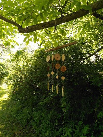 Ein windspielaus runden Holzscheiben hängt im grünen garten