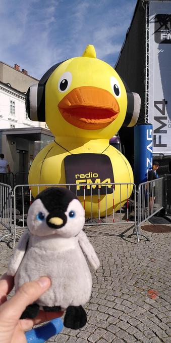 Archy vor einer riesigen aufblasbaren gelben Gummiente mit Kopfhörern und Radio FM4 Schriftzug.