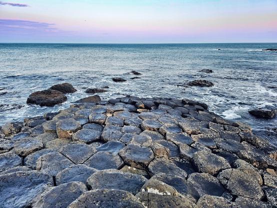 A wide shot of the Giant's Causeway in Northern Ireland at dusk. The foreground is dominated by the dark, hexagonal basalt columns forming a natural pathway leading into the calm, blue-grey sea. The water shows gentle ripples and white foam from small waves. The horizon features a soft gradient sky with the pale purples and blues of sunrise . A single small bird is visible in the upper left of the sky