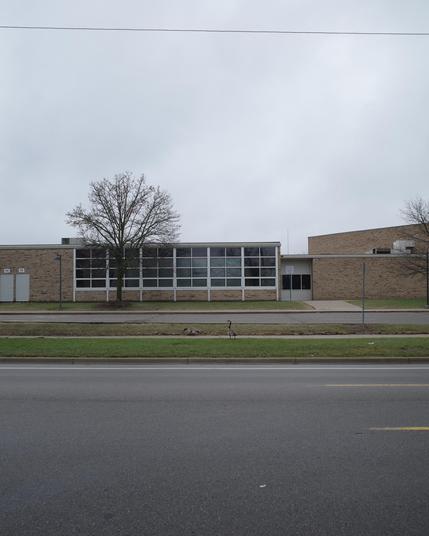 Color photograph looking across a wide street at part of a tan brick school building on a gray day, a pair of Canada geese standing in the grass across the street in front of a strip of parking lot and a grid of rectangular windows