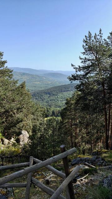 A view through trees onto a tree covered valley beneath a clear blue sky.