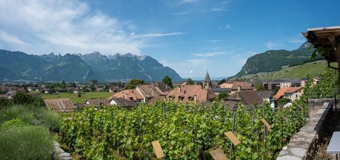 Panorama de vigne et d'un village avec une vieille église