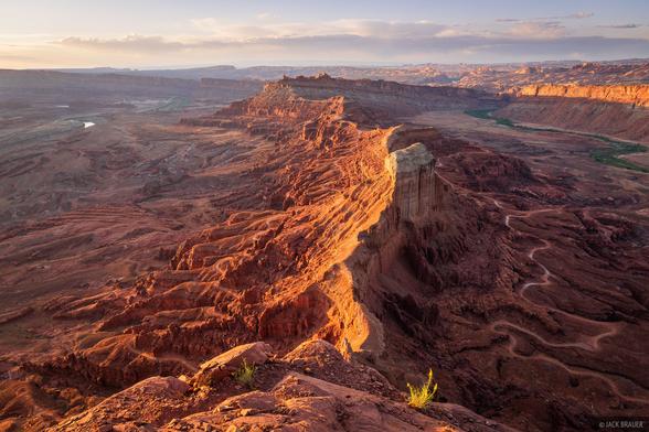 Sunset light on the intricate topography west of Moab, Utah, as seen from the Anticline Overlook. The Colorado River flows through the canyon on the left, and Arches National Park is visible on the far distant right horizon.