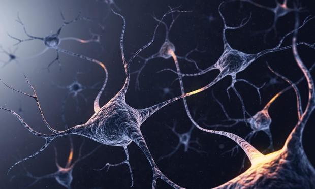 Sistema de neuronas con conexiones brillantes (Getty Images)