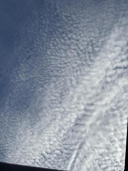 Le ciel au dessus de la terrasse des #schblam qui est tout moutonneux on dirait un pelage
